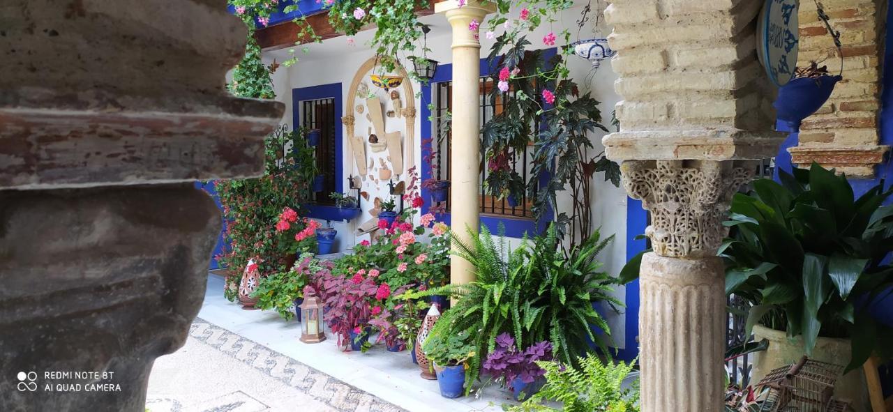 Apartamento Casa Típica De