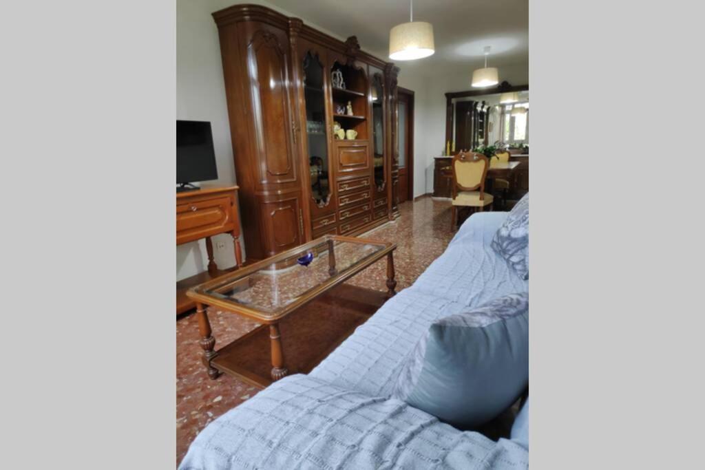 Apartment Carlos Iii