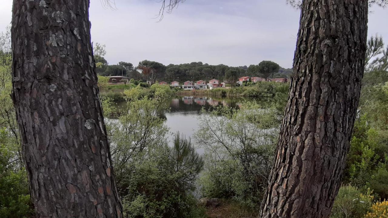 El Pinar Del Coto Сasa de vacaciones Córdoba