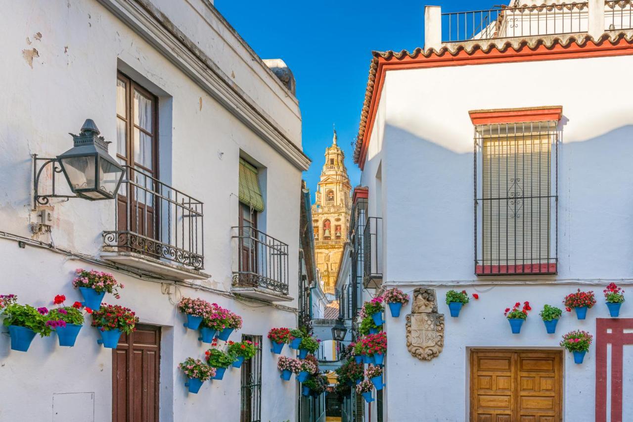 Apartamento ático A 1 Minuto De La Mezquita-catedral