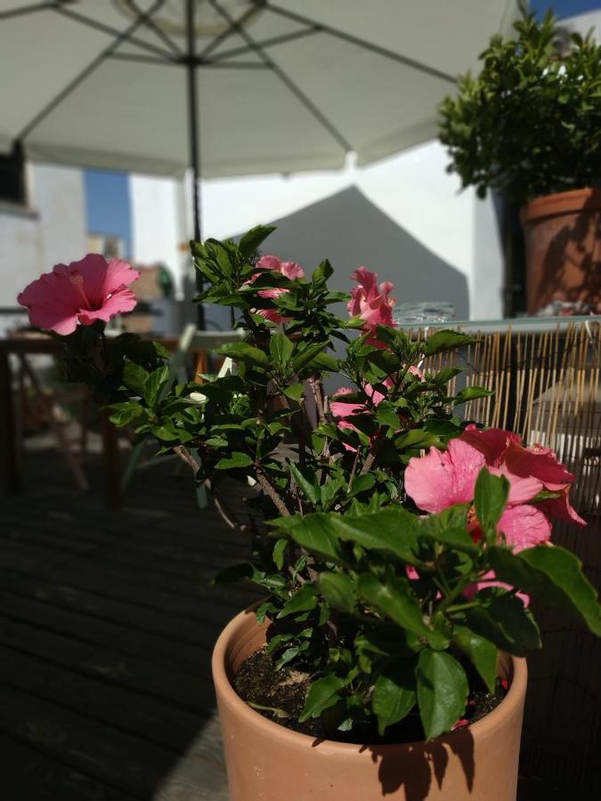Hostal Esencia De Azahar Cordoba