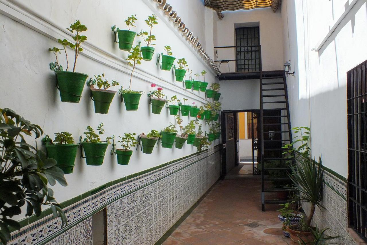 El Patio De Santiago Córdoba