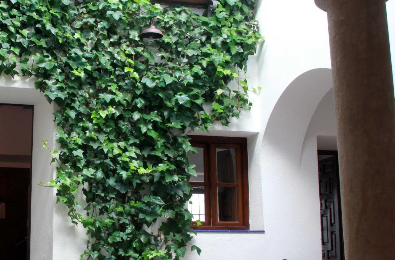 Apartment Patios De La Juderia