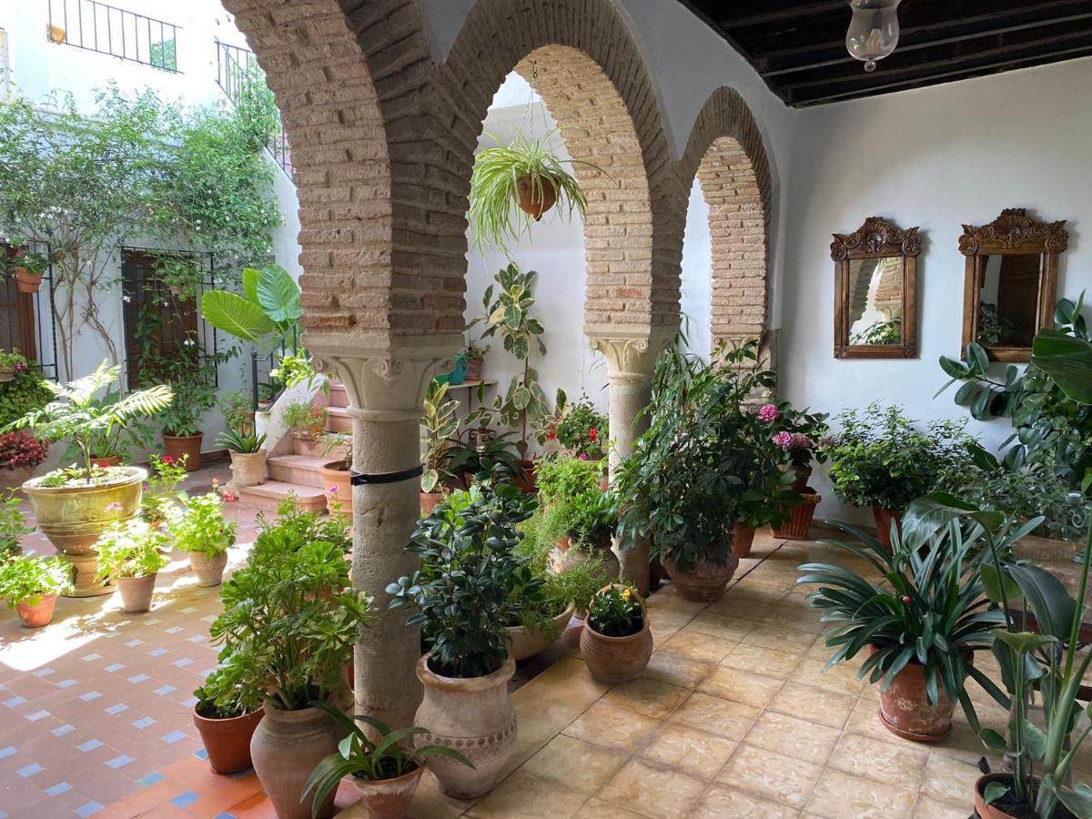 El Patio De Regina Apartment *