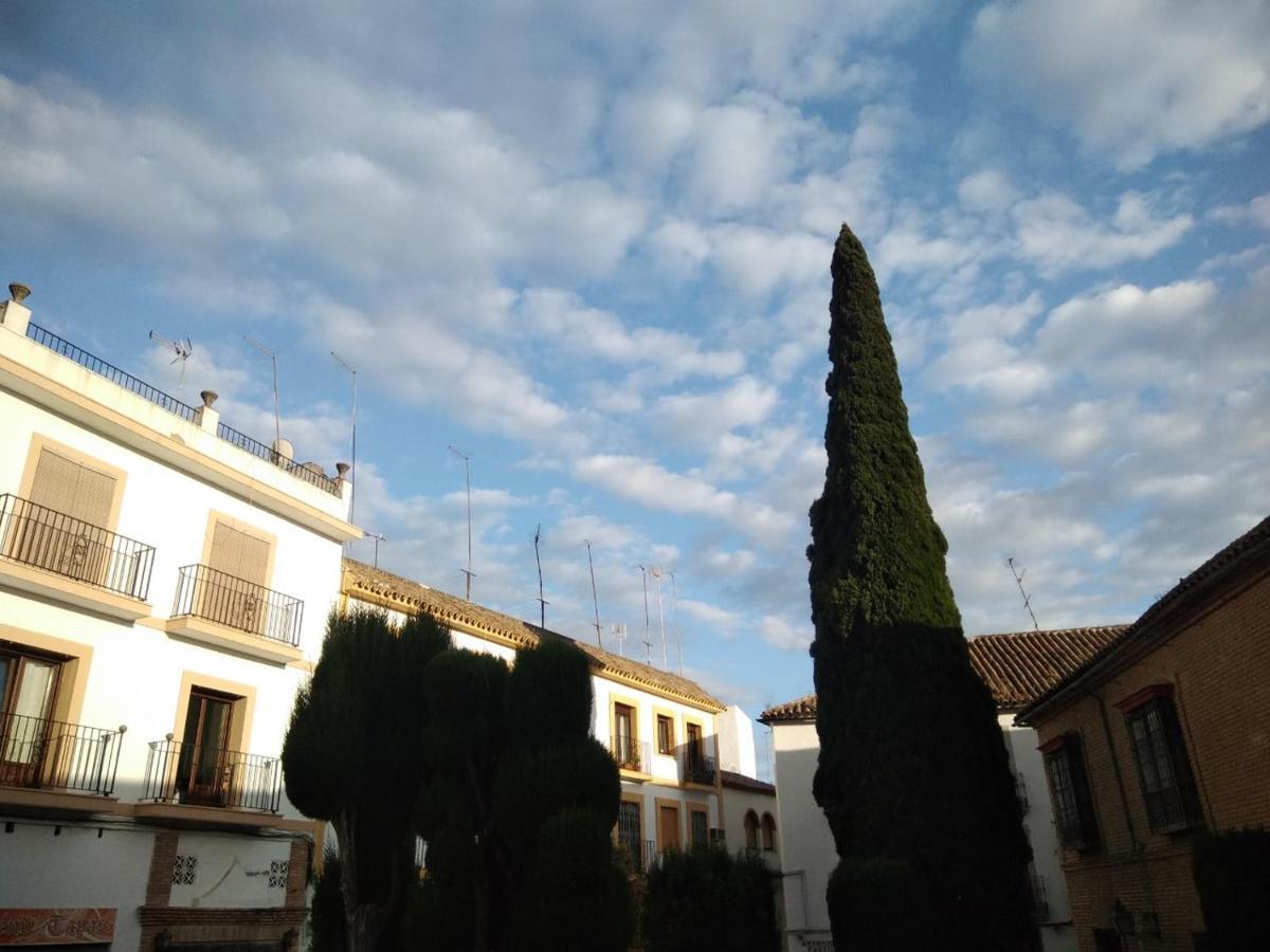 Hotel Plateros Cordoba