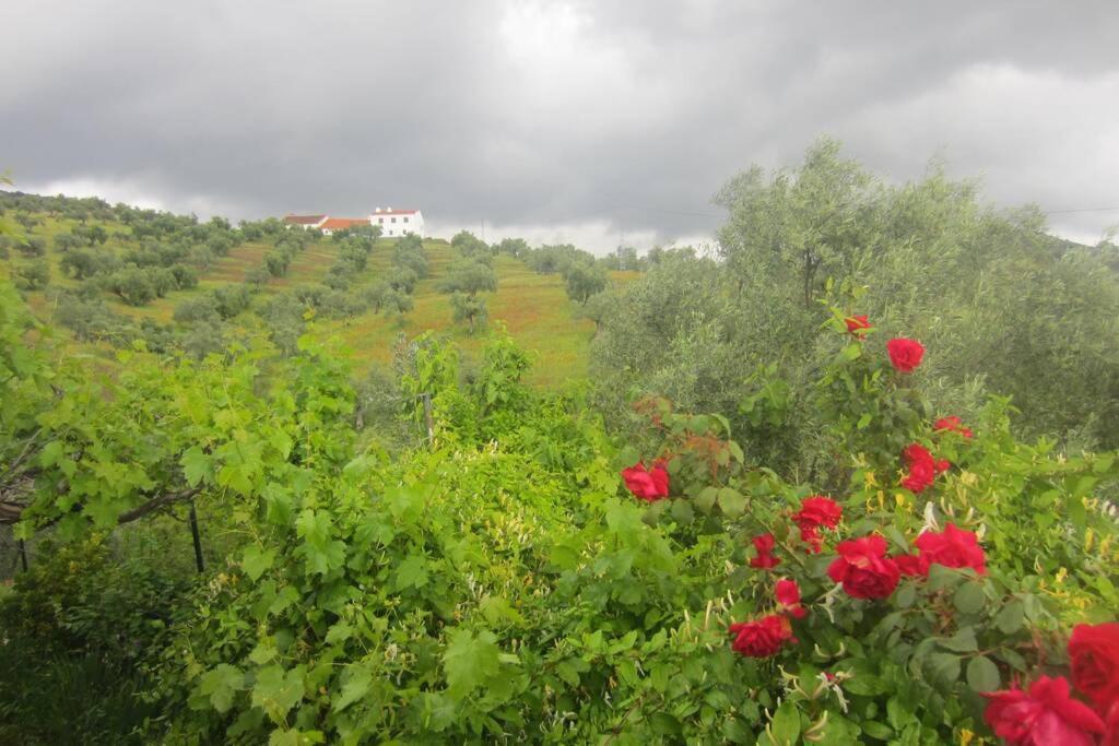 Сasa de vacaciones Cortijo Era Grande 1 *