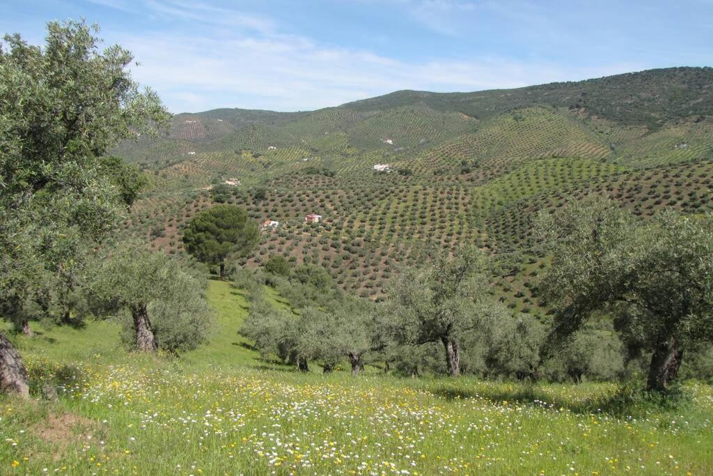 Сasa de vacaciones Cortijo Era Grande 1 Córdoba