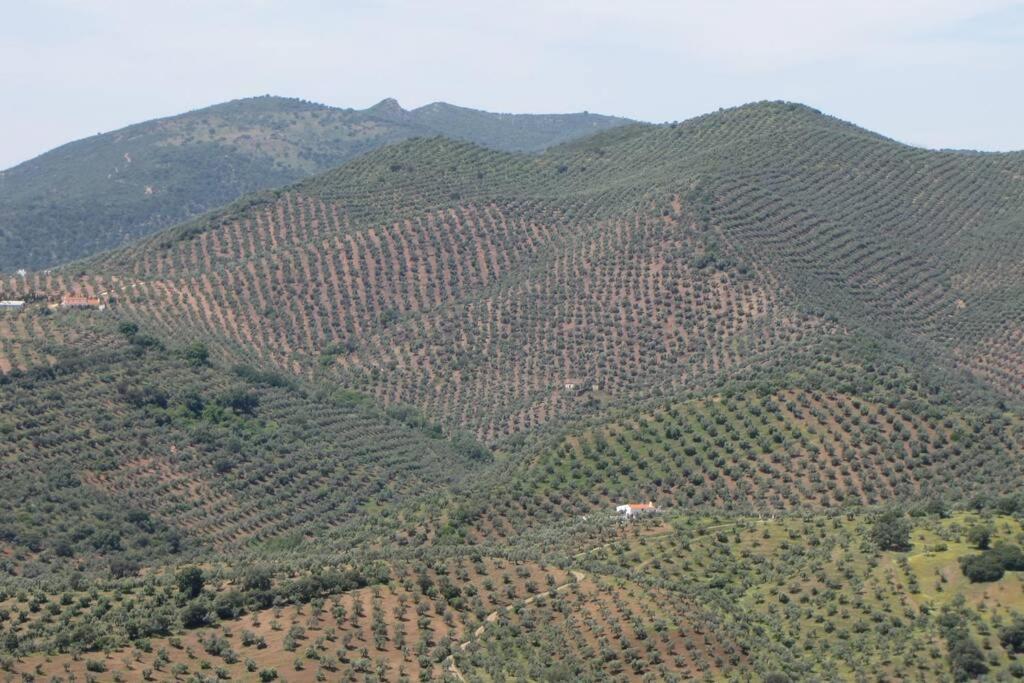 Cortijo 