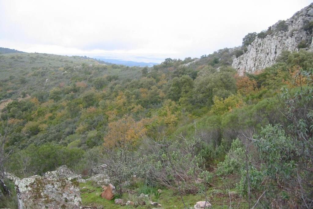 Cortijo 