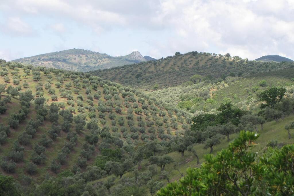 Cortijo 