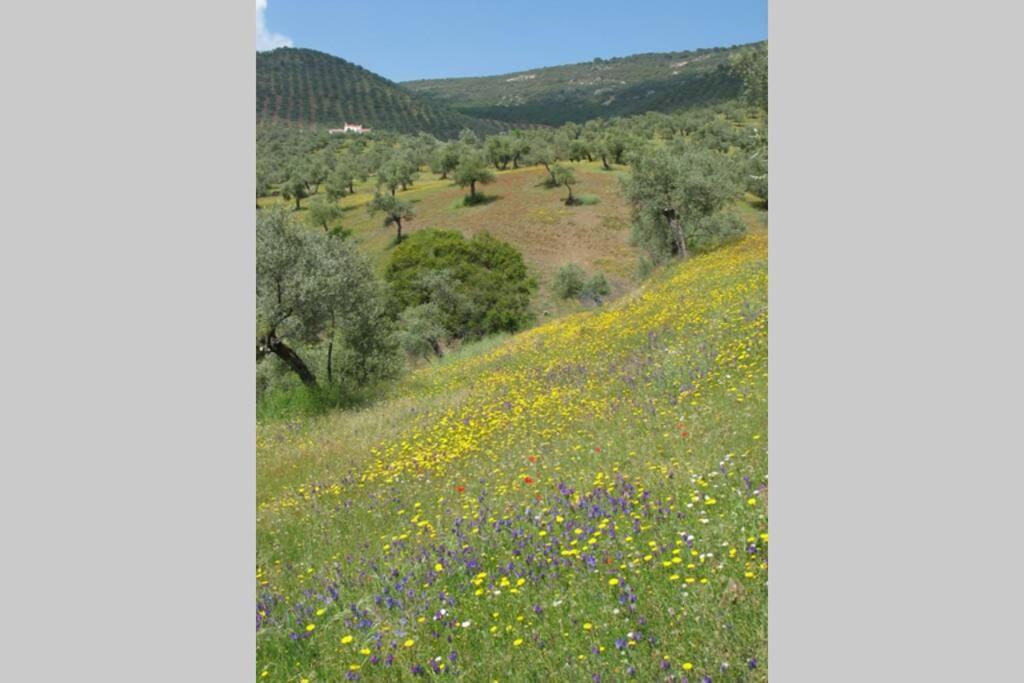 Сasa de vacaciones Cortijo Era Grande 2