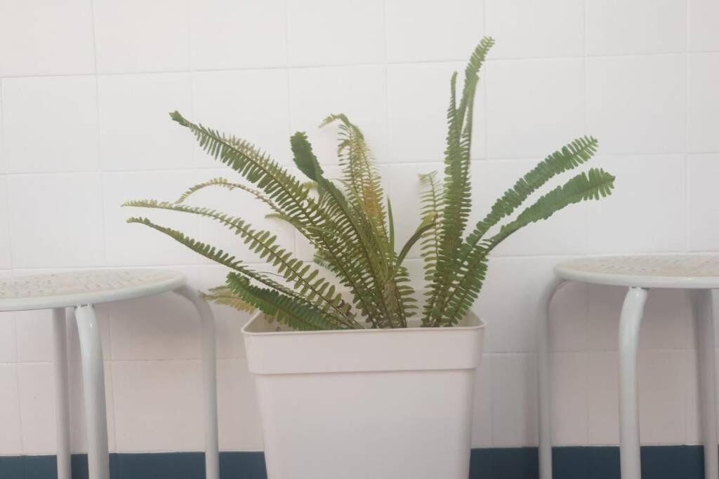 Bonito Y Coqueto Apartamento Córdoba