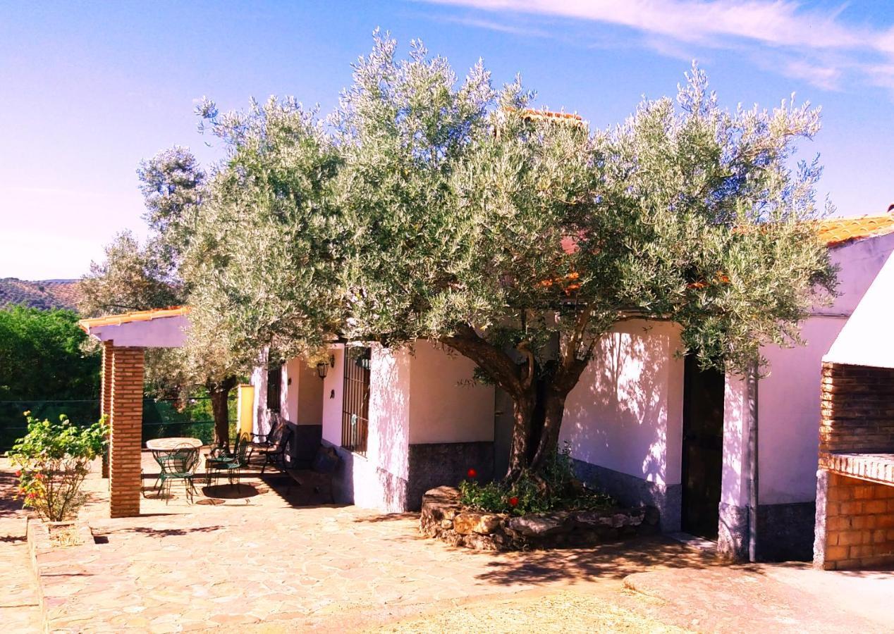 Cortijo Era Grande 2 Сasa de vacaciones *