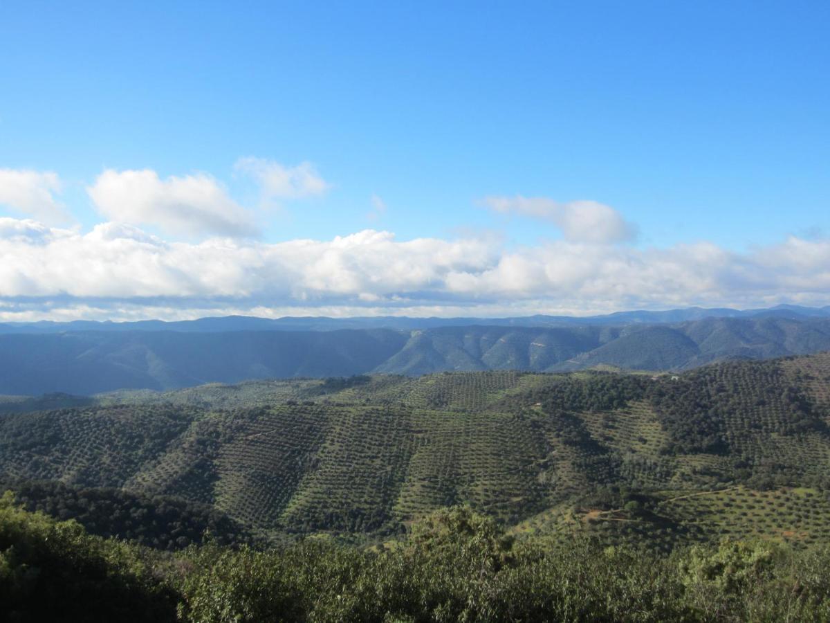 Cortijo Era Grande 2 Сasa de vacaciones Córdoba