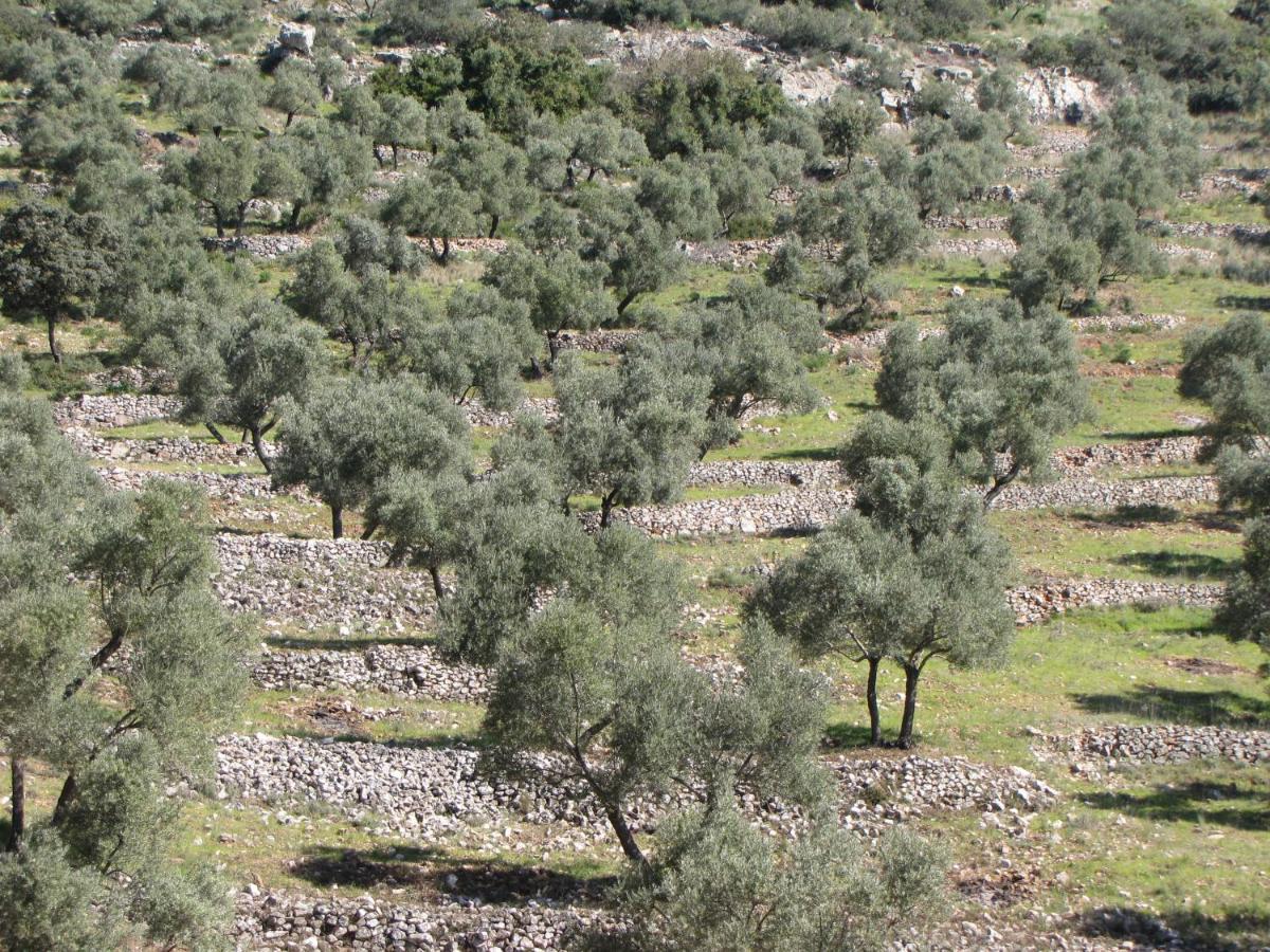 Cortijo Era Grande 2