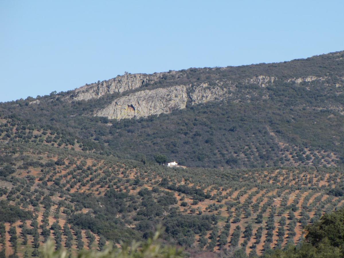 Cortijo Era Grande 2 *