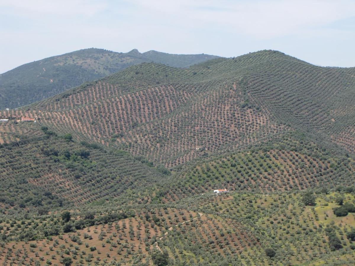 Сasa de vacaciones Cortijo Era Grande 2
