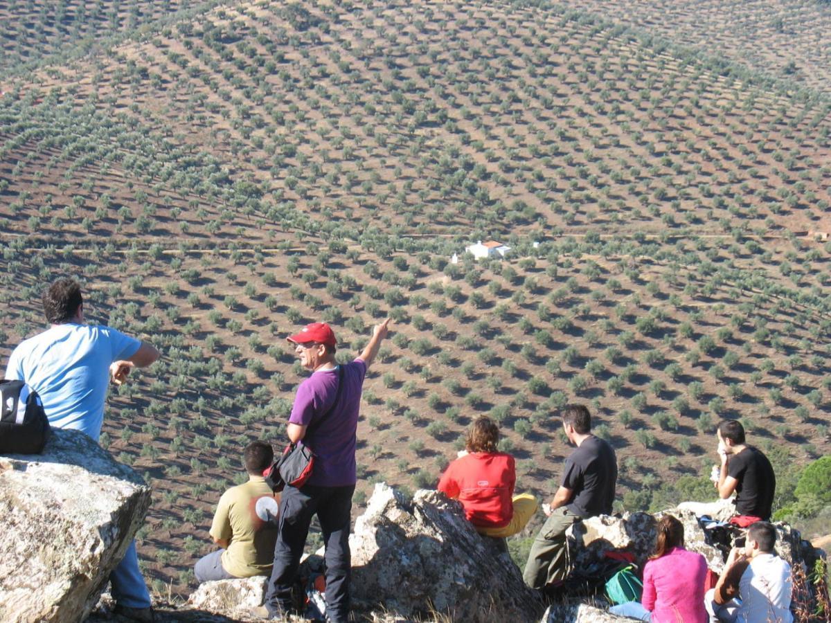 Cortijo 