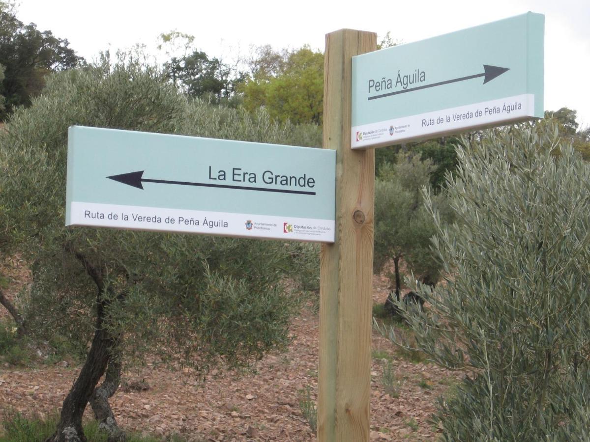 Cortijo Era Grande 1 Сasa de vacaciones *