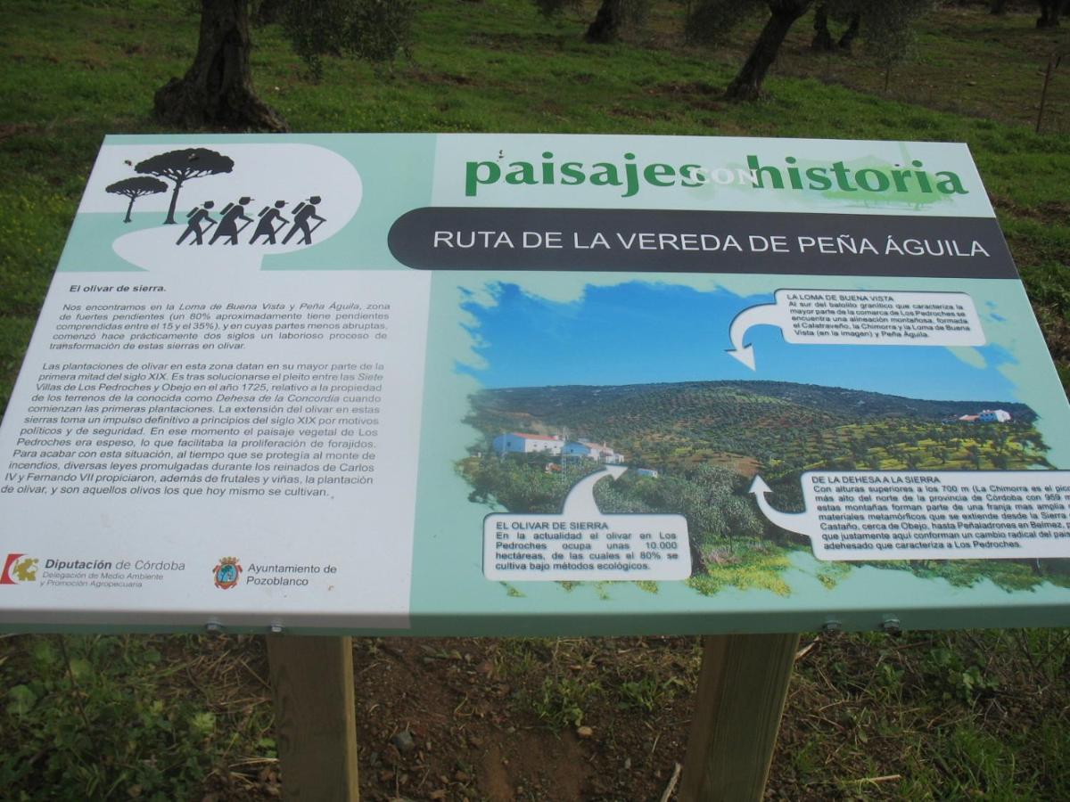 Cortijo Era Grande 1 Сasa de vacaciones Córdoba
