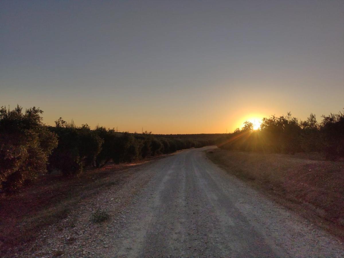 Сasa de vacaciones Cortijo Don Simón Córdoba