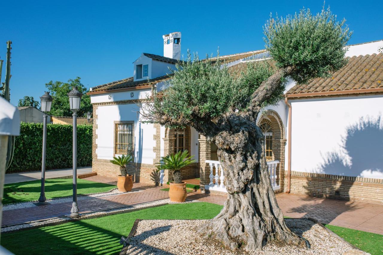 Casa rural El Olivo De