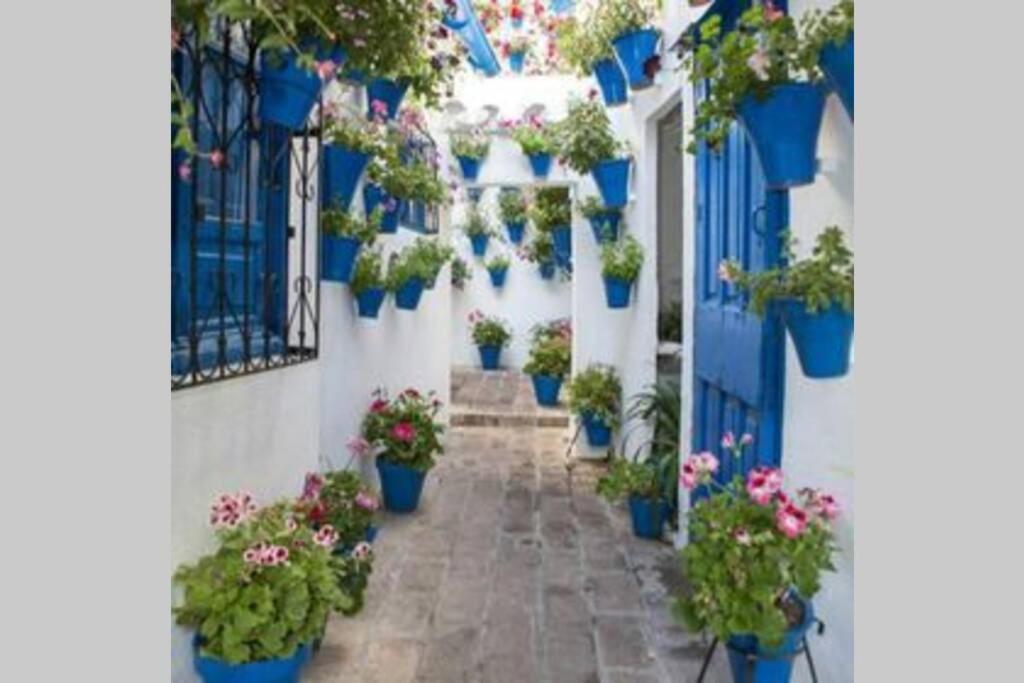 Corredera House. Pleno Centro De * Córdoba