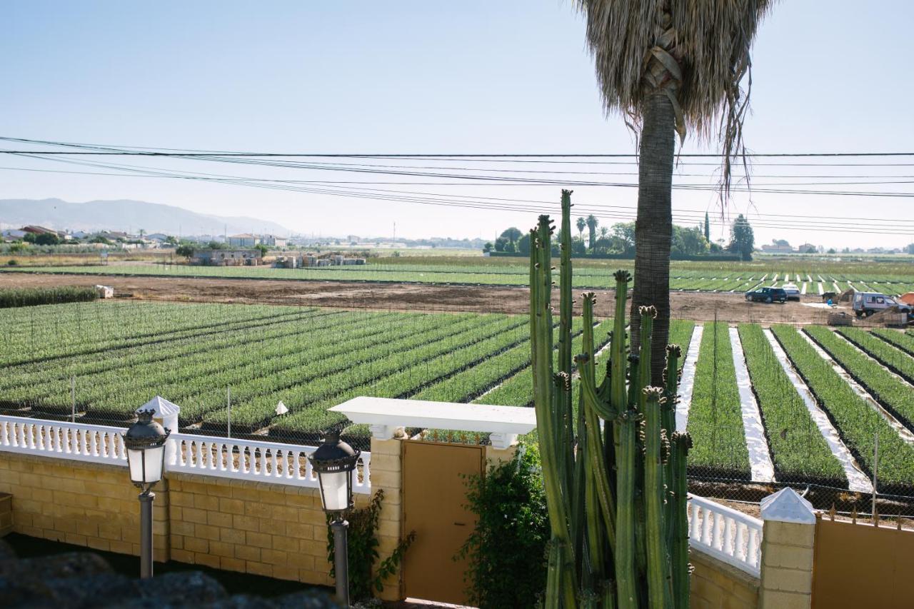 El Olivo De Casa rural