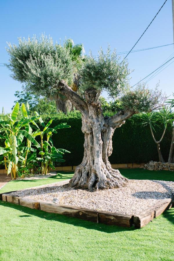 Casa rural El Olivo De