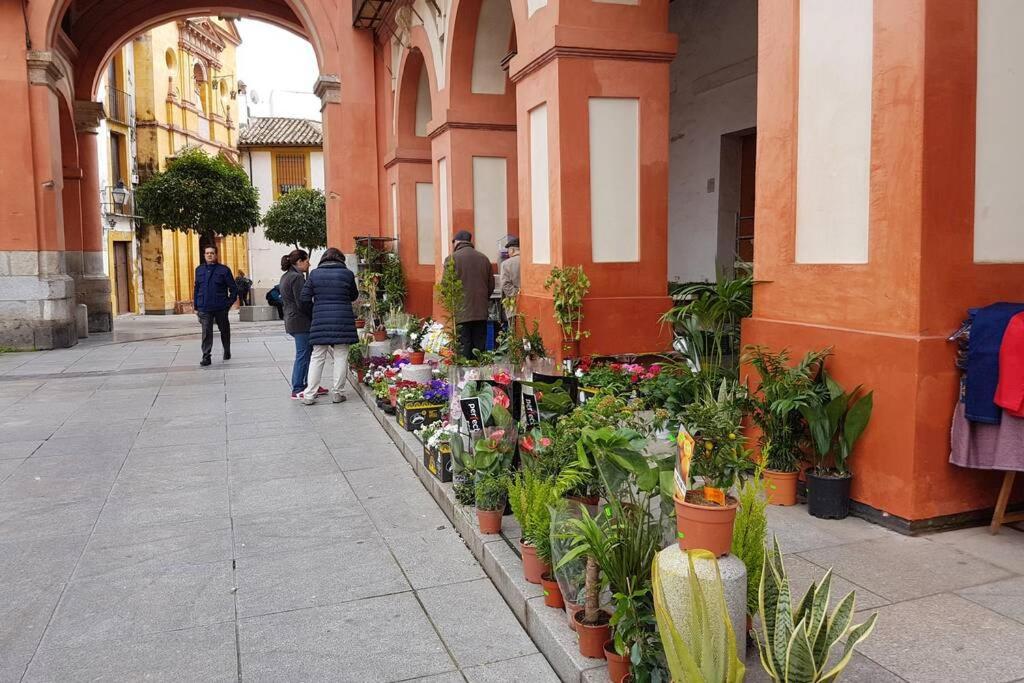 San Pedro-corredera *