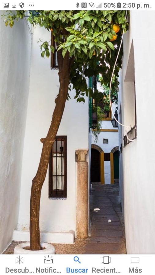 Centro-mezquita 4 A 8 Huespedes Apartamento