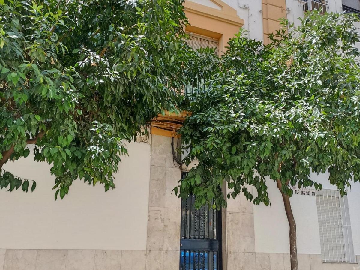 Modernos En Ciudad Jardin *