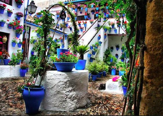 Perla 2 Cplace Ecológico Apartamento Córdoba