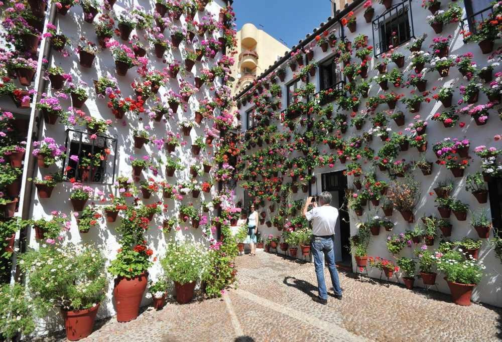Suenos De La Juderia Cplace Ecologico * Cordoba