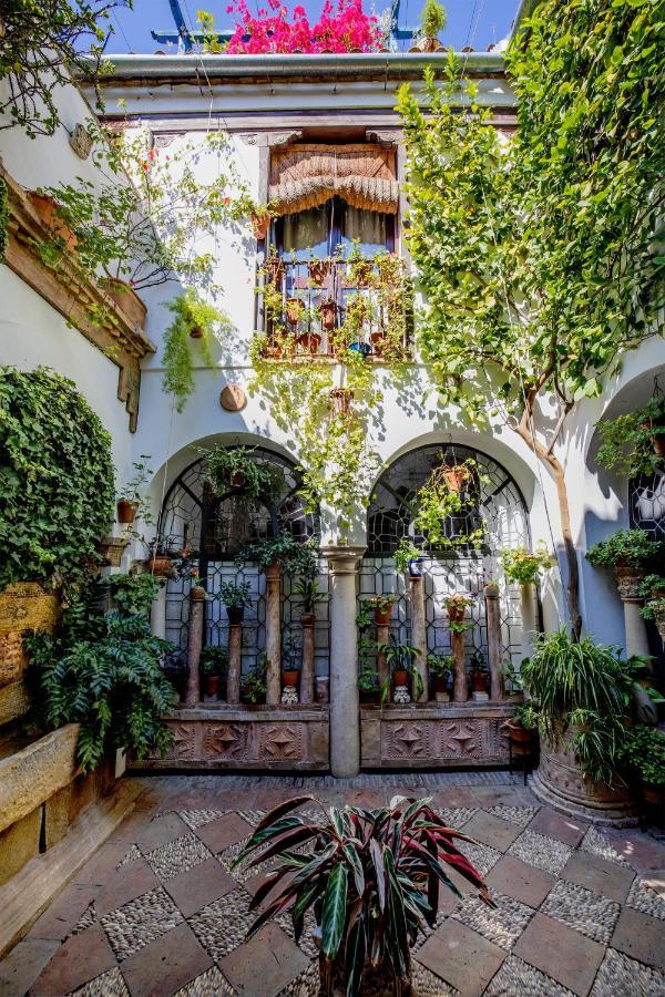 Apartamento Con Patio Cordobés En San Basilio