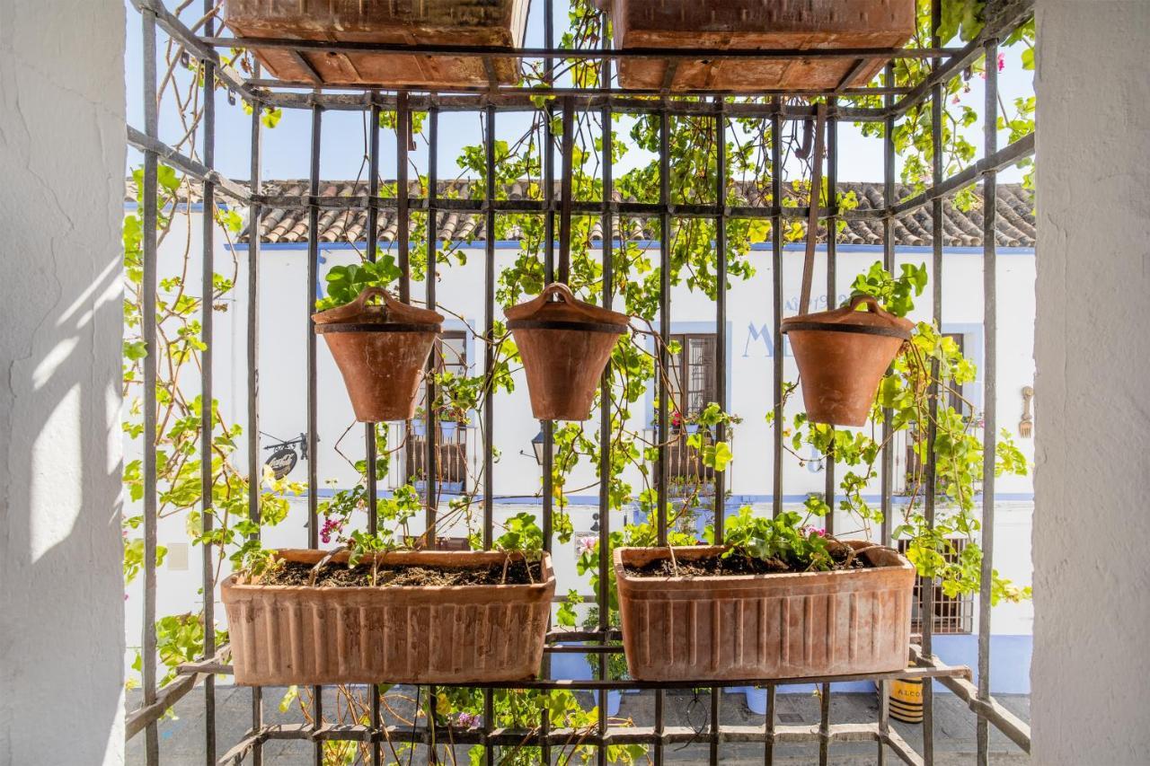Apartamento Con Patio Cordobés En San Basilio *