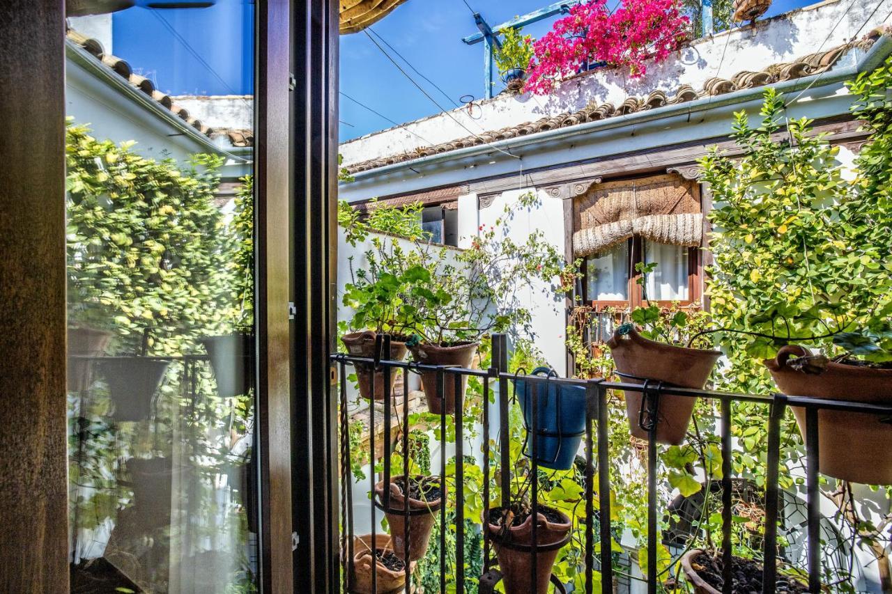 Con Patio Cordobés En San Basilio