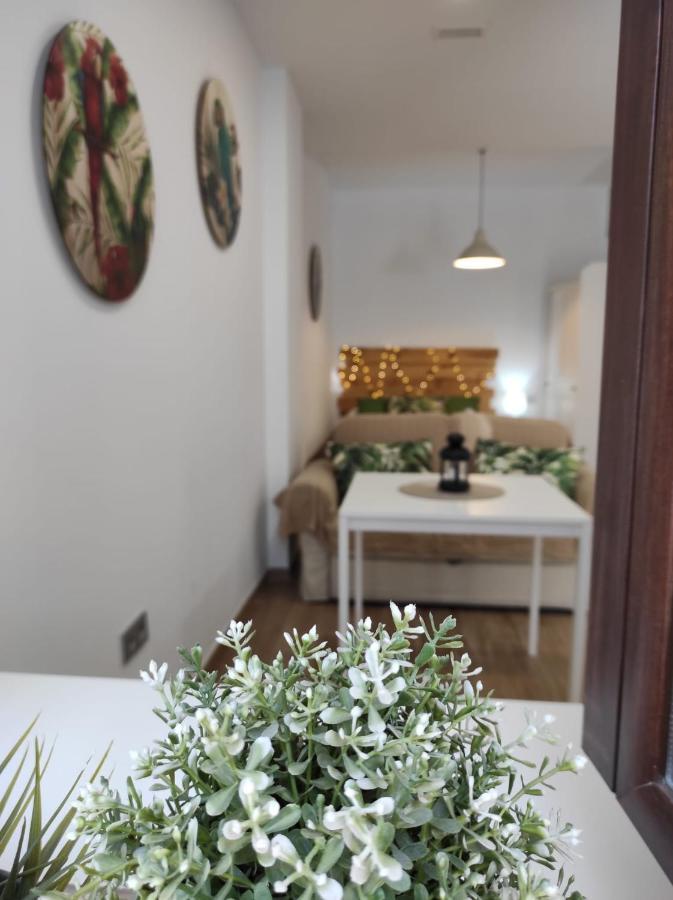 Loft Tulipanes Amarillos Junto A Mezquita * Córdoba