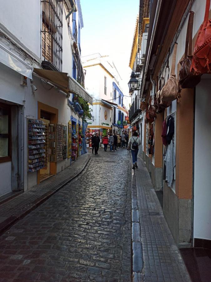 Amor, Emoción Y Más, Auténtico Céntrico Climatizado,con Wifi, Cercano A La Catedral Y Estaciones Apartamento