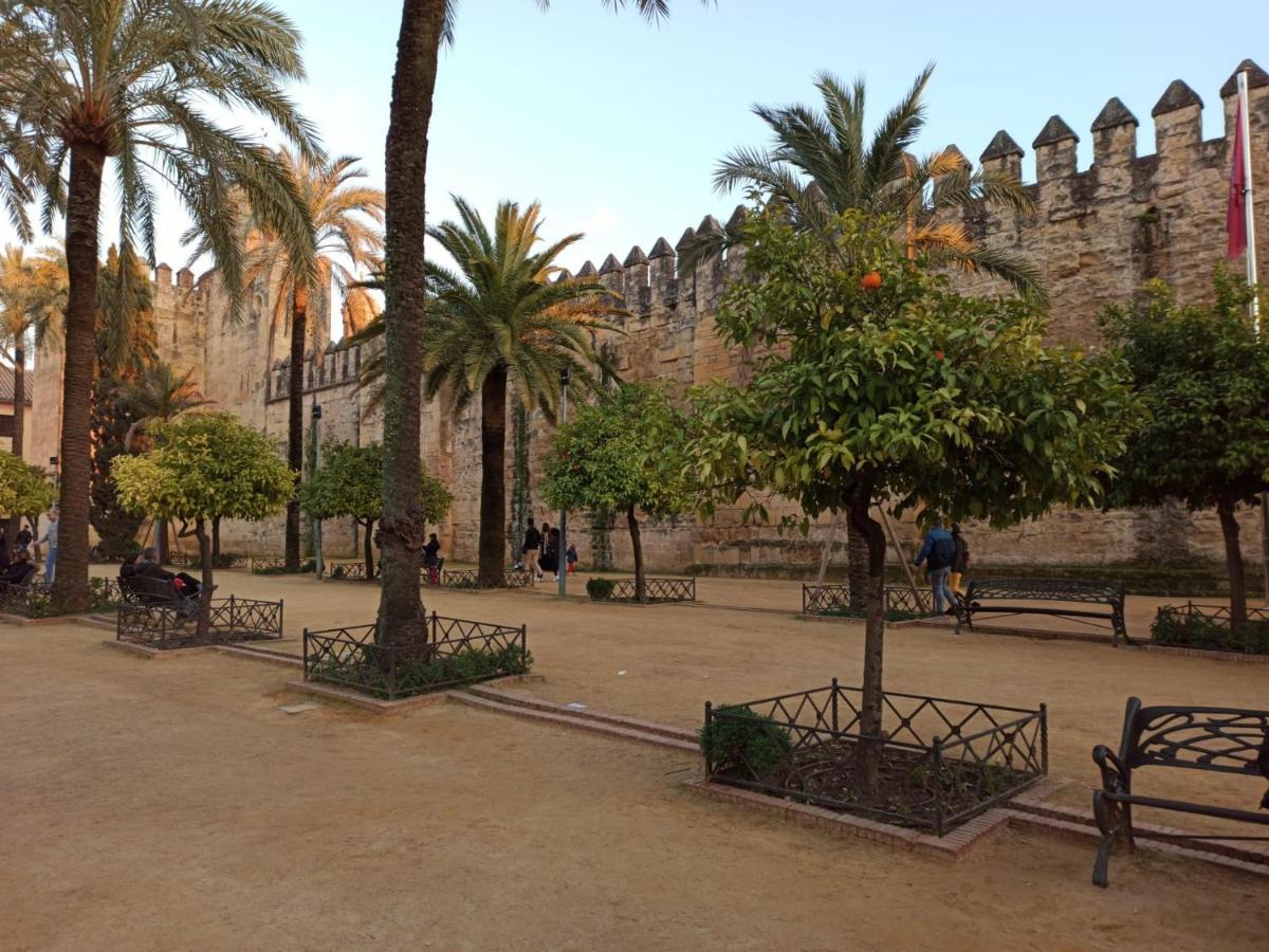 Amor, Emoción Y Más, Auténtico Céntrico Climatizado,con Wifi, Cercano A La Catedral Y Estaciones * Córdoba