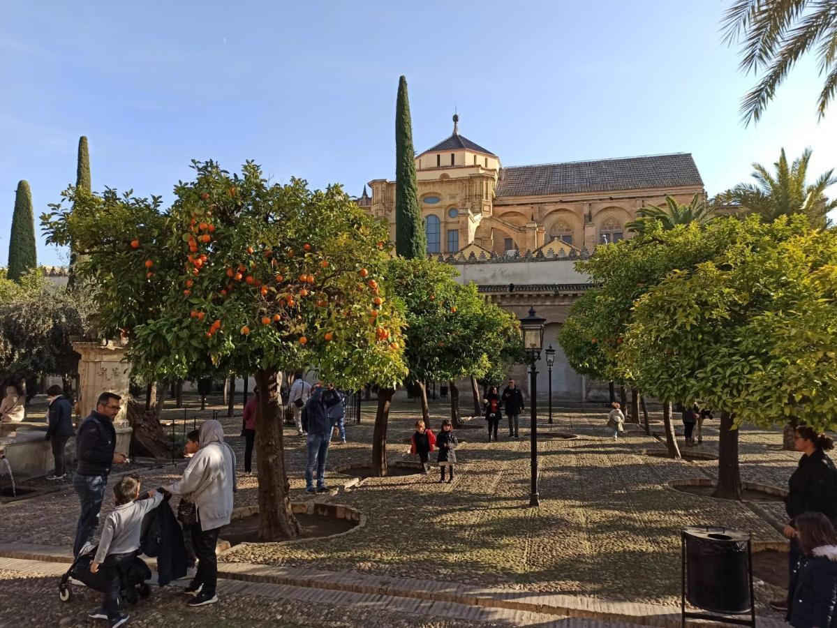 Amor, Emoción Y Más, Auténtico Céntrico Climatizado,con Wifi, Cercano A La Catedral Y Estaciones Córdoba