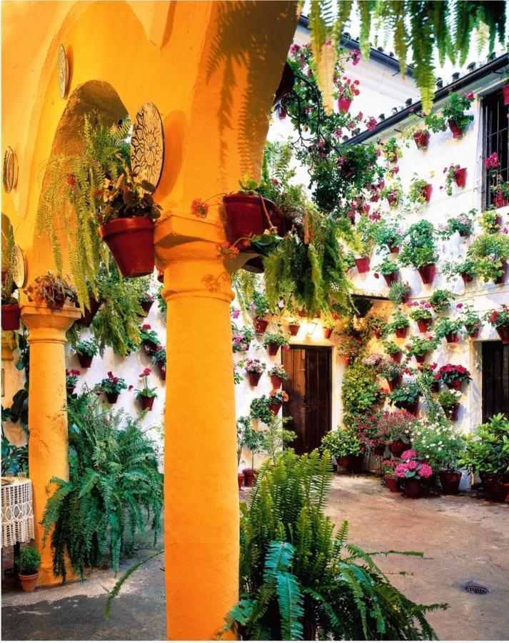 La Terraza Del Puente Y Mezqt-catedral