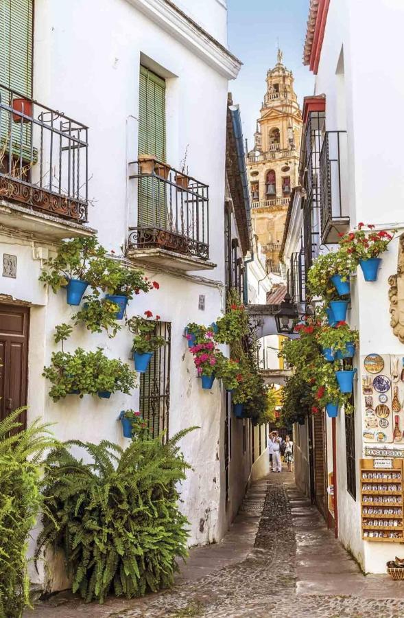 La Terraza Del Puente Y Mezqt-catedral