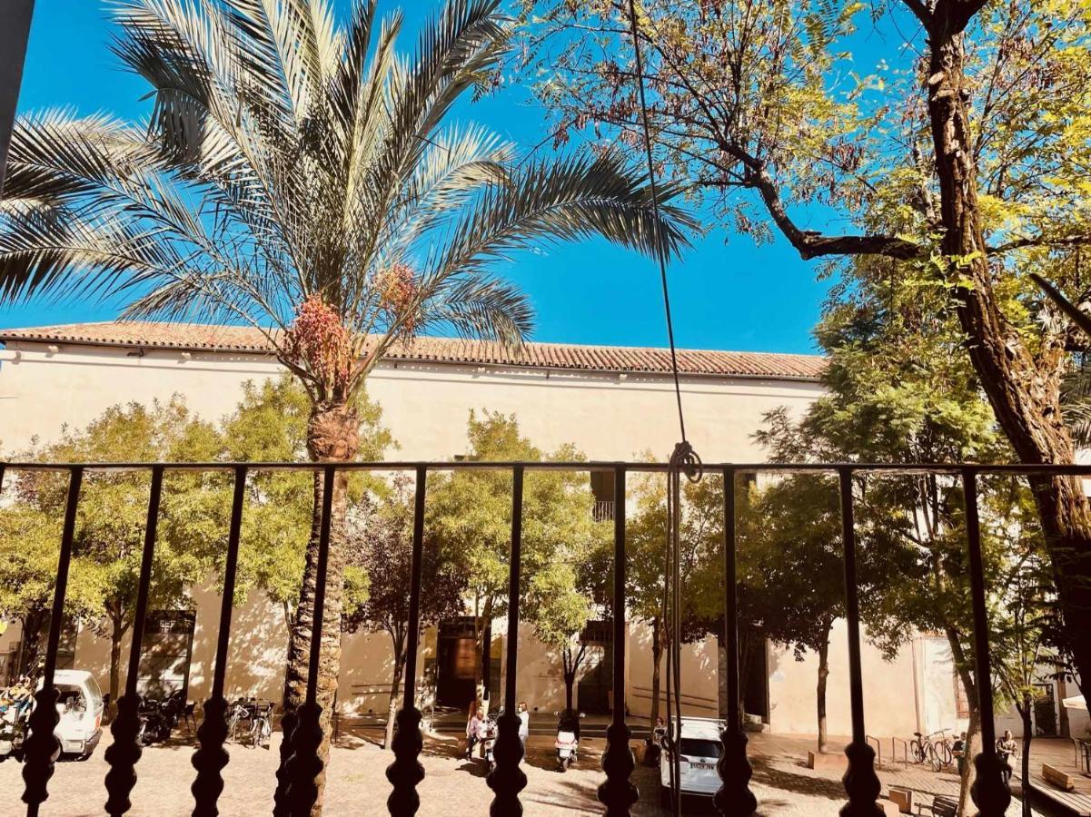 Precioso En Plaza De Cañas