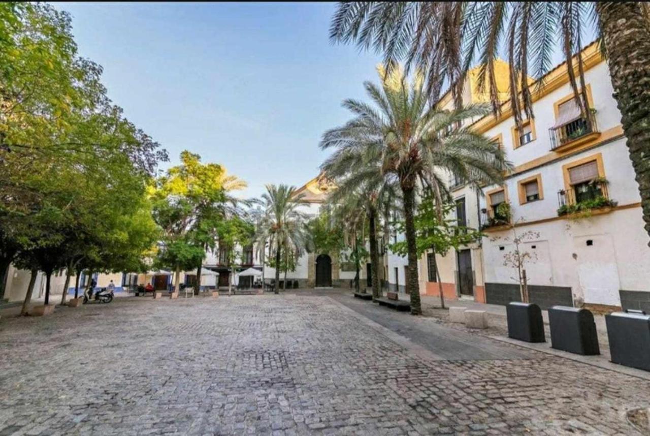 Precioso En Plaza De Cañas Apartamento