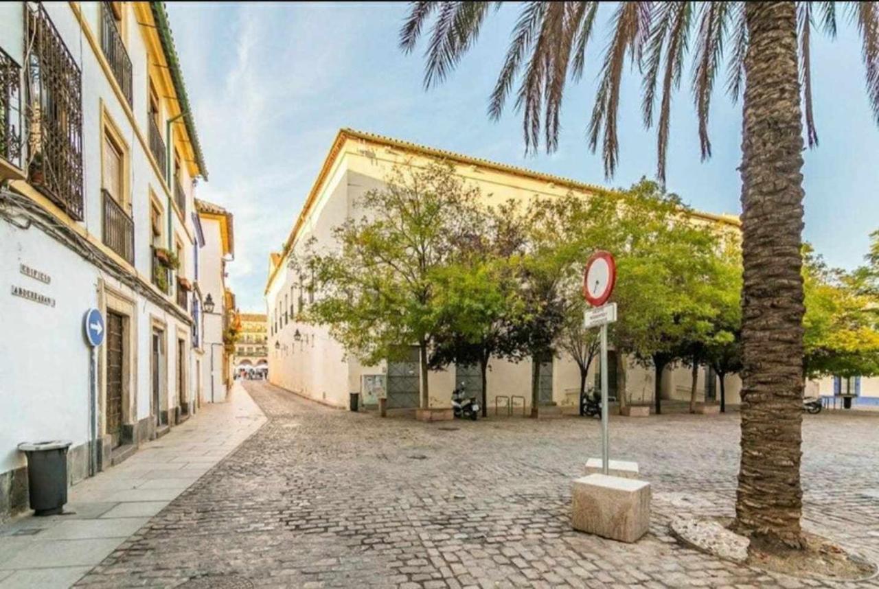 Precioso En Plaza De Cañas Apartamento *