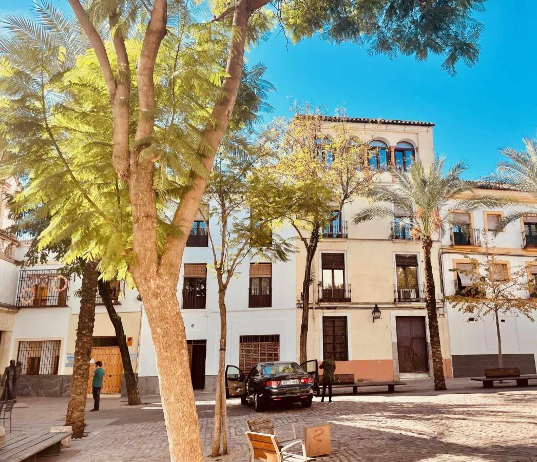 Precioso En Plaza De Cañas