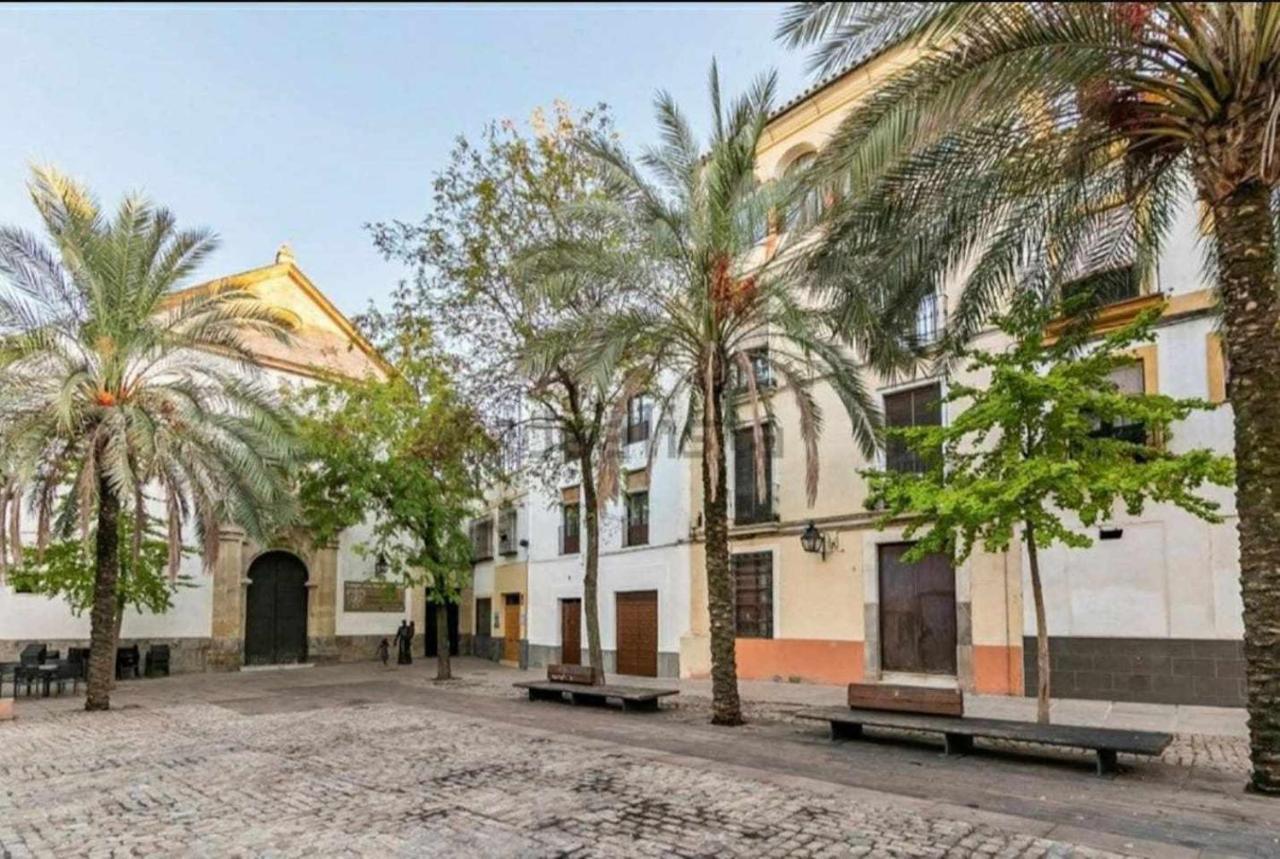 Apartamento Precioso En Plaza De Cañas