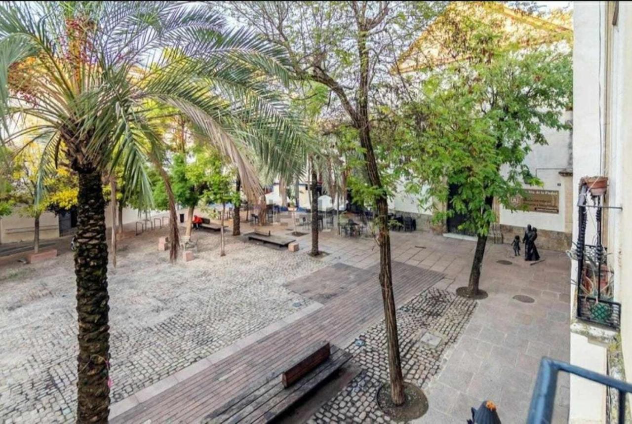 Precioso En Plaza De Cañas Apartamento