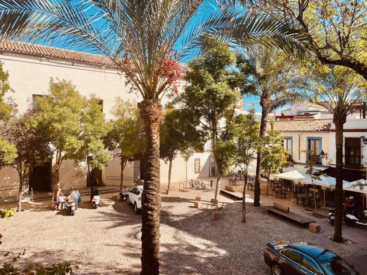 Apartamento Precioso En Plaza De Cañas